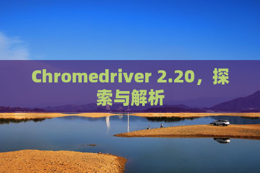 Chromedriver 2.20，探索与解析