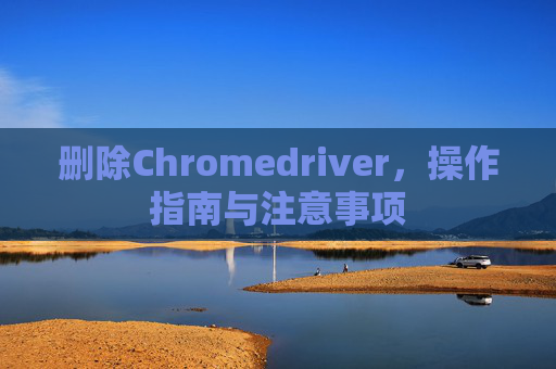 删除Chromedriver，操作指南与注意事项